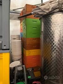 Attrezzatura api e apicoltura