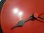 Immagine 6