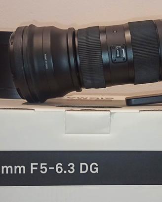 Sigma 150-600 Sport Attacco Nikon