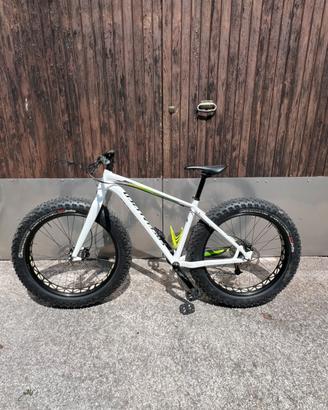 Specialized fatboy