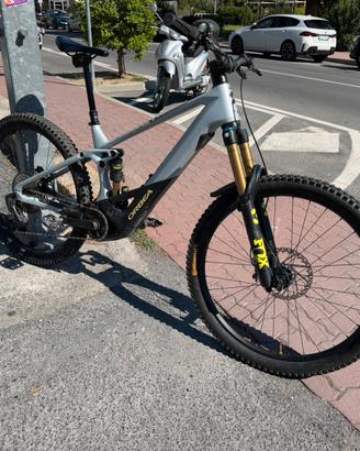 Orbea Wild 2024