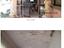 Immagine 19