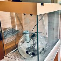 Acquario jewel lido 120 lt