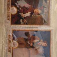 Carte cioccorane Harry Potter