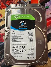 Hard disk Hdd  SkyHawk da 6TB Seagate