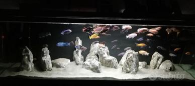 set 12 rocce artificiali per acquario 