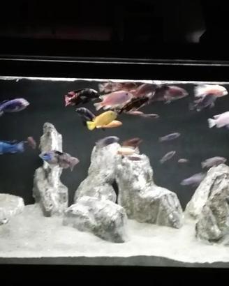 set 12 rocce artificiali per acquario 