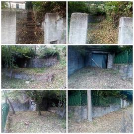 Terreno boschivo con casa