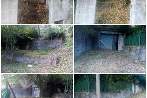 Terreno boschivo con casa