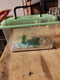 Acquario portatile 