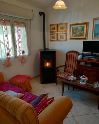 Stufa a pellet e nocciolino 10kw