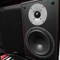 MAGNAT SUPREME MONITOR 202  ULTIMA COPPIA  !