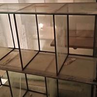 struttura allevamento pesci-caridine