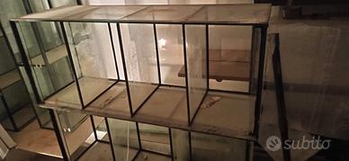 struttura allevamento pesci-caridine