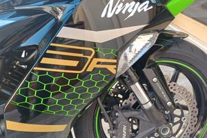 Kawasaki Ninja 636 ZX-6R