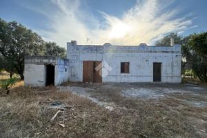 RUSTICO A CEGLIE MESSAPICA