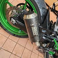Silenziatore mivv mk3 carbonio kawasaki z900