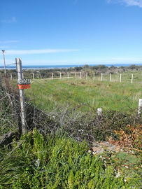 Terreno Edificabile mq. 750