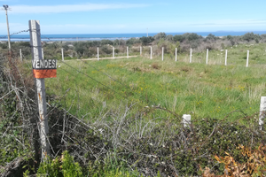 Terreno Edificabile mq. 750