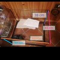 Acqua terrario per tartarughe o rettili