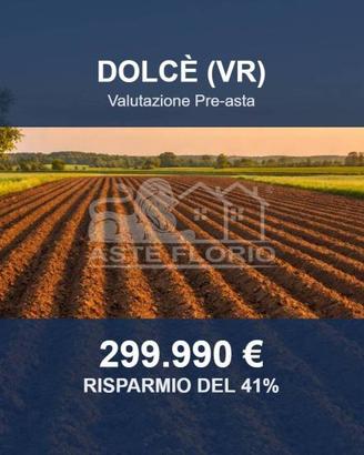 Immobile in asta di 22231 m² a Dolcè