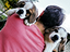 Immagine 5
