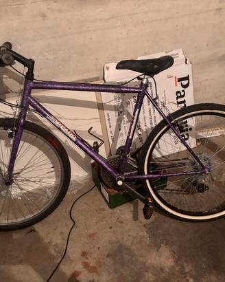 Mountain bike