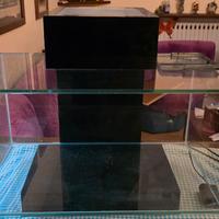 Acquario Fluval Edge 23lt