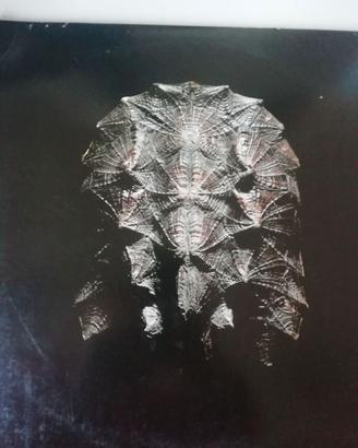 LOTTO 24 VINILI RAP HIP HOP SOUL POP EGREEN