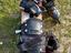 Immagine 3