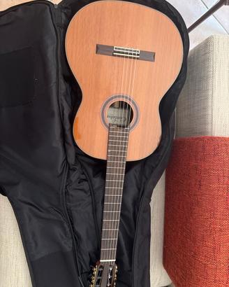 Chitarra Cordoba C7 CD