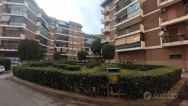 Quadrivani in contesto recintato