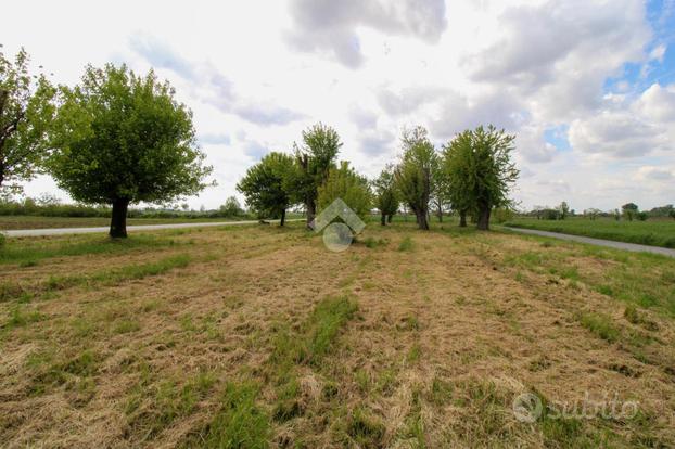 TER. AGRICOLO A ORZINUOVI