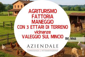 Attività / Licenza di 35000 m² a Valeggio sul Minc