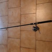 canna da pesca spinning 