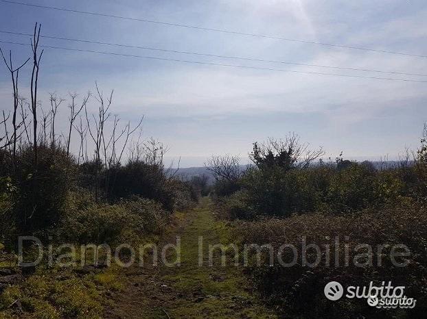 Terreno 4,2 ettari a Giarre - Vista 3