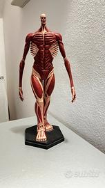 ATTACK ON TITAN – TITANO COLOSSALE FIGURE