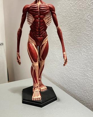 ATTACK ON TITAN – TITANO COLOSSALE FIGURE