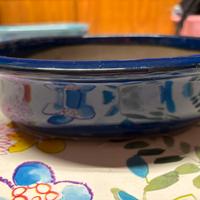 Vasi per bonsai Leroy Merlin