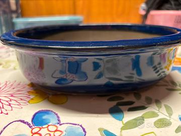 Vasi per bonsai Leroy Merlin