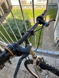 Coppia di Mountain Bike (MTB)