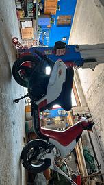 Piaggio nrg mc1 smembro