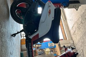 Piaggio nrg mc1 smembro