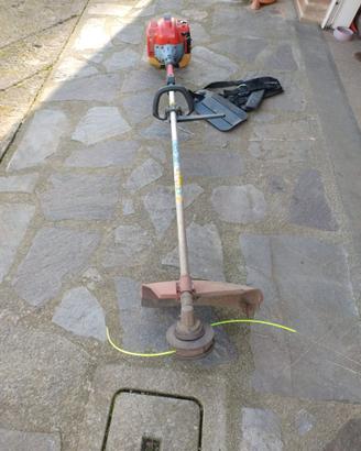 Decespugliatore Blue Bird GC430N usato