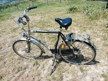 bicicletta da uomo