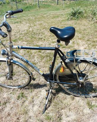 bicicletta da uomo