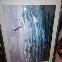 lotto due stampe marine