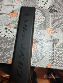 montainbike  pedalata assistita 