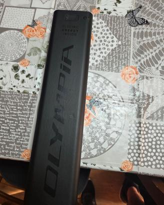 montainbike  pedalata assistita 