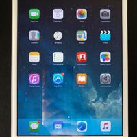 iPad mini WiFi Cellular + custodia nuova